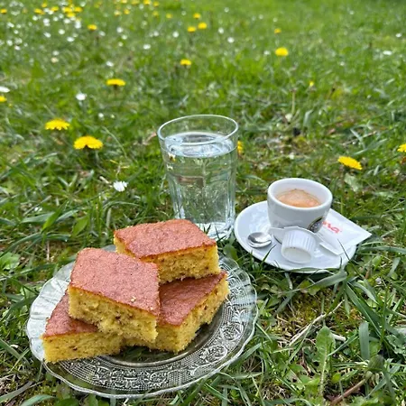 Maison d'hôtes Bujtina Turkaj *